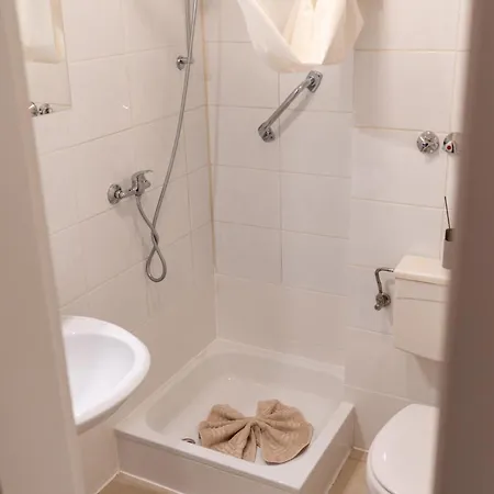 Rheinmeetsmosel Rheinufer Deutsches Eck