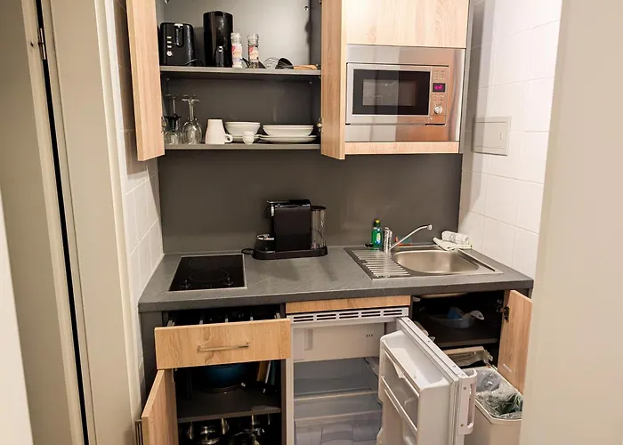 Rheinmeetsmosel Rheinufer Deutsches Eck Coblence